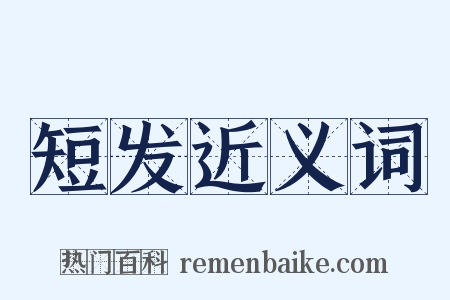 短发近义词是什么意思的图片